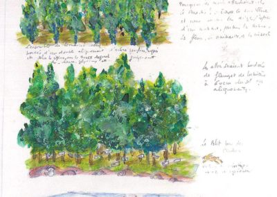 © Hélène Barbe
